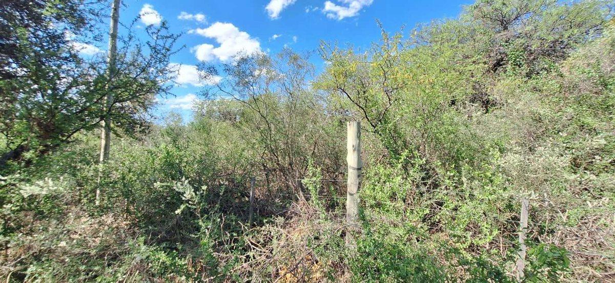 Se Vende Lote 2500 m² B° Santa Isabel Charbonier 5