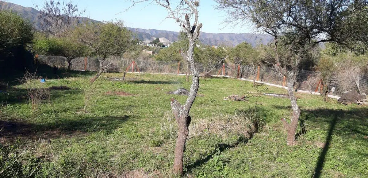 VENTA LOTE PLANO  798 M2 PARQUE SIQUIMAN ESCRITURA 2