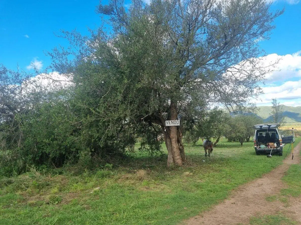 VENTA TERRENO 640 M2 EN LOS REARTES. CALAMUCHITA 5