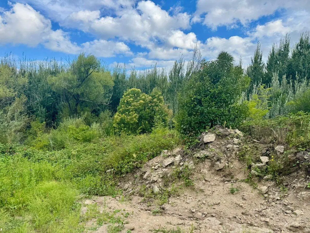 VENTA 2 LOTES 1200M2 EN YACANTO DE CALAMUCHITA 4