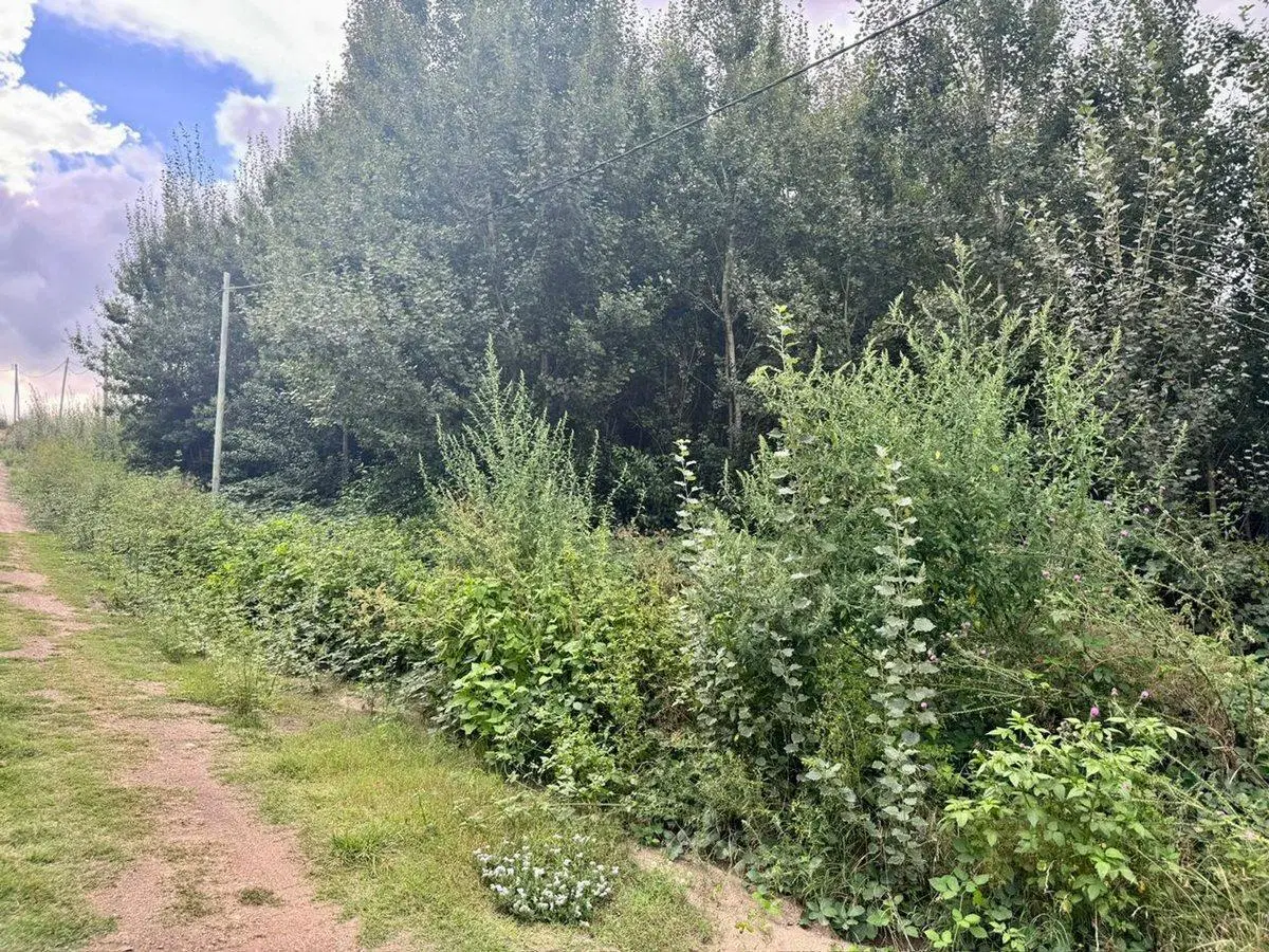 VENTA 2 LOTES 1200M2 EN YACANTO DE CALAMUCHITA 5