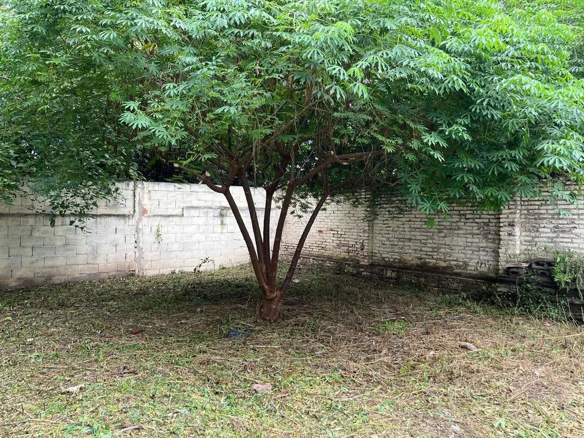 LOTE FACT 3 UNIDADES, PASAJE PRIVADO B° ARGUELLO 3