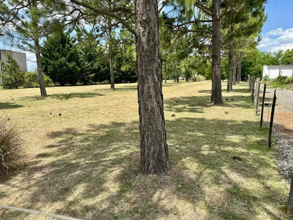 VENTA TERRENO POTRERO DE GARAY LOS ESPINILLOS 2