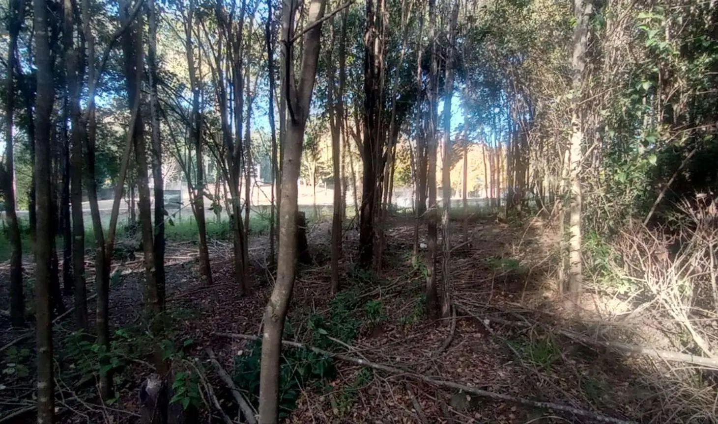 VENTA LOTE CIUDAD DE AMERICA SOBRE RUTA 5 4