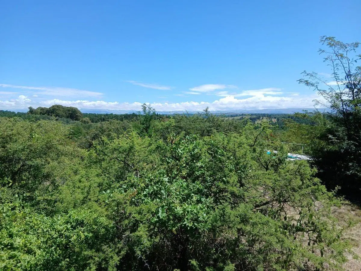 VENTA TERRENO 554 M2. CAPILLA VIEJA. LOS REARTES 3