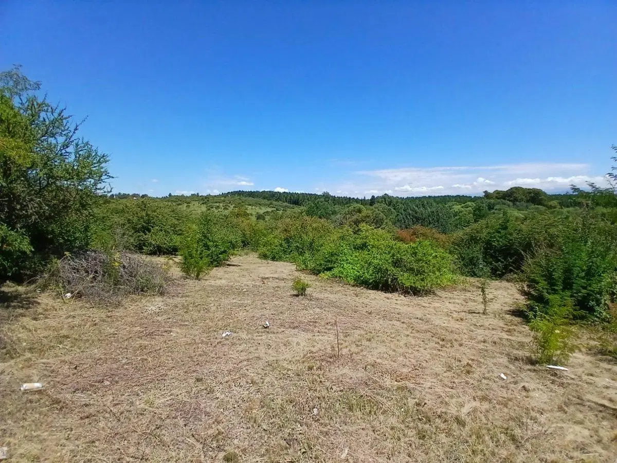 VENTA TERRENO 554 M2. CAPILLA VIEJA. LOS REARTES 4