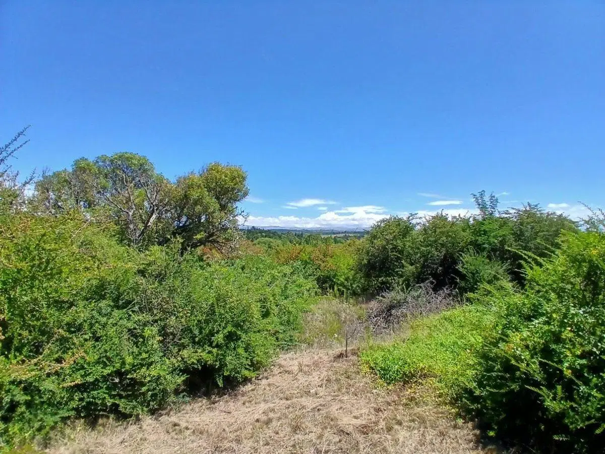 VENTA TERRENO 554 M2. CAPILLA VIEJA. LOS REARTES 2