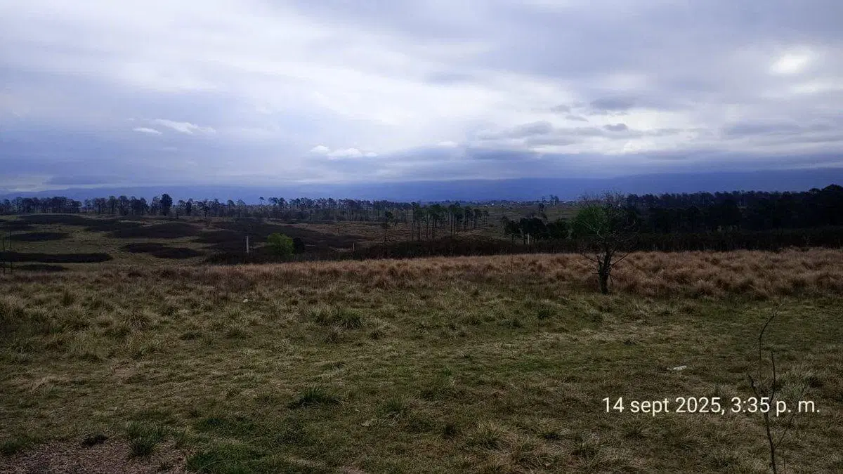 SE VENDE HERMOSO CAMPO DE 3 ,3 HAS EN YACANTO 3