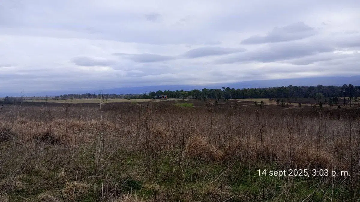 SE VENDE HERMOSO CAMPO DE 3 ,3 HAS EN YACANTO 4