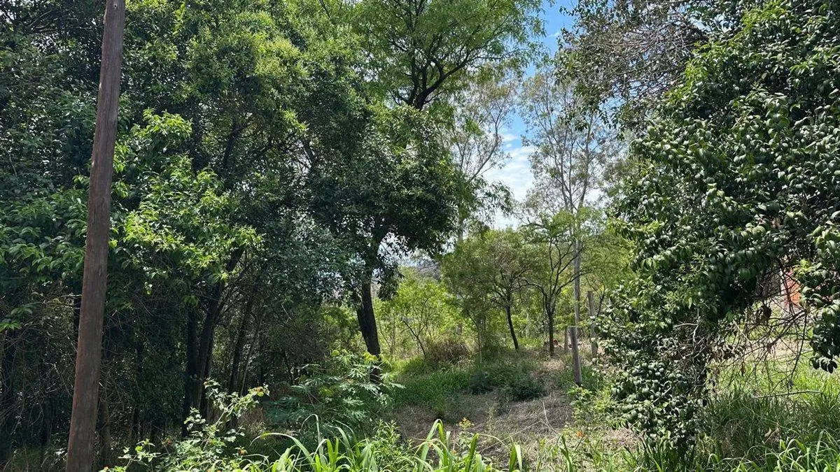 LOTE EN VENTA EN RIO CEBALLOS 534 M2 3