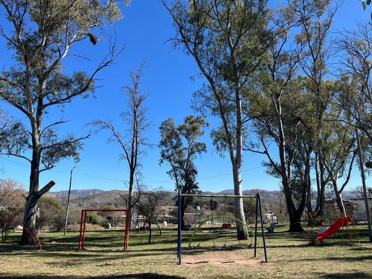 LOTE CON ARBOLES NATIVOS EN VILLA RIO ANISACATE 5