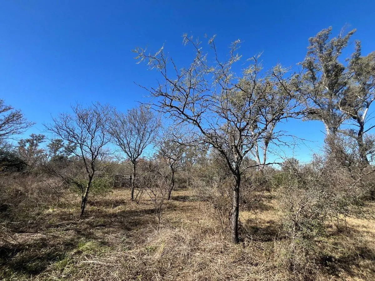LOTE CON ARBOLES NATIVOS EN VILLA RIO ANISACATE 2