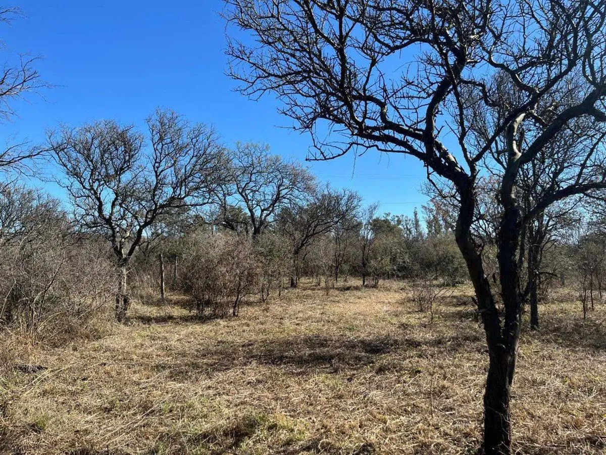 LOTE CON ARBOLES NATIVOS EN VILLA RIO ANISACATE 4