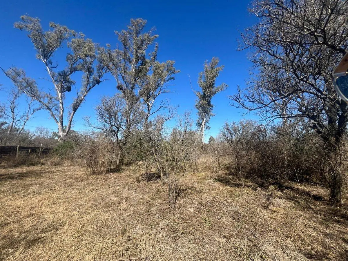 LOTE CON ARBOLES NATIVOS EN VILLA RIO ANISACATE 3