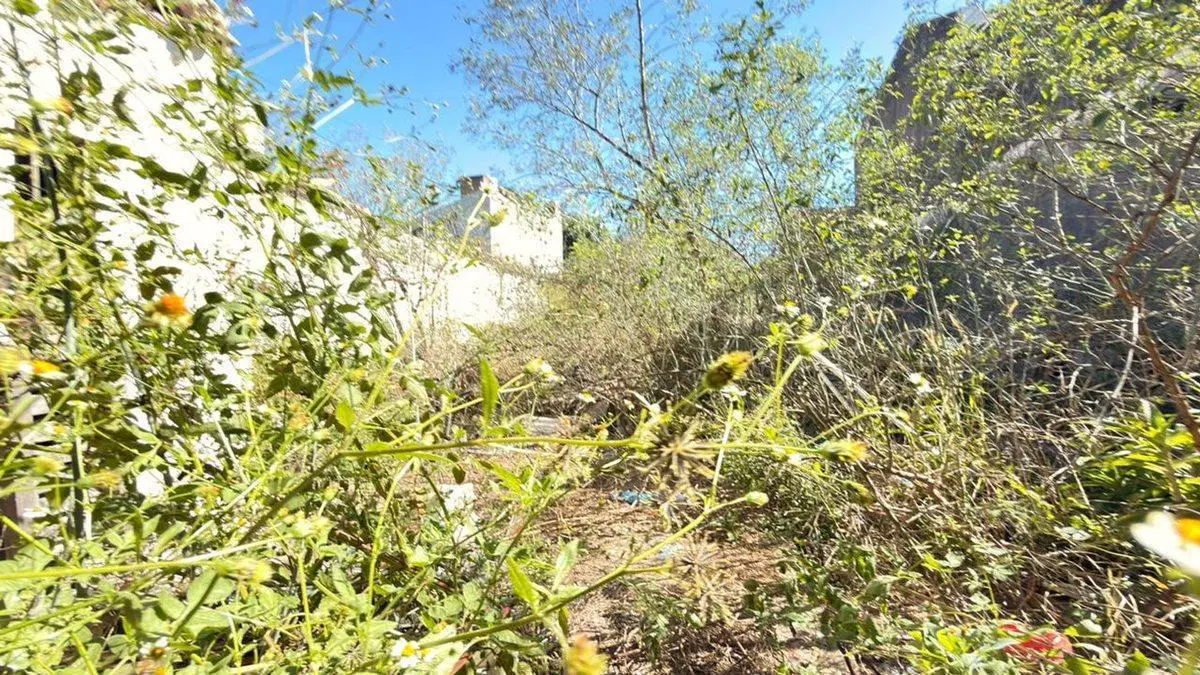 VENTA LOTE APTO DESARROLLO ALTO ALBERDI 8
