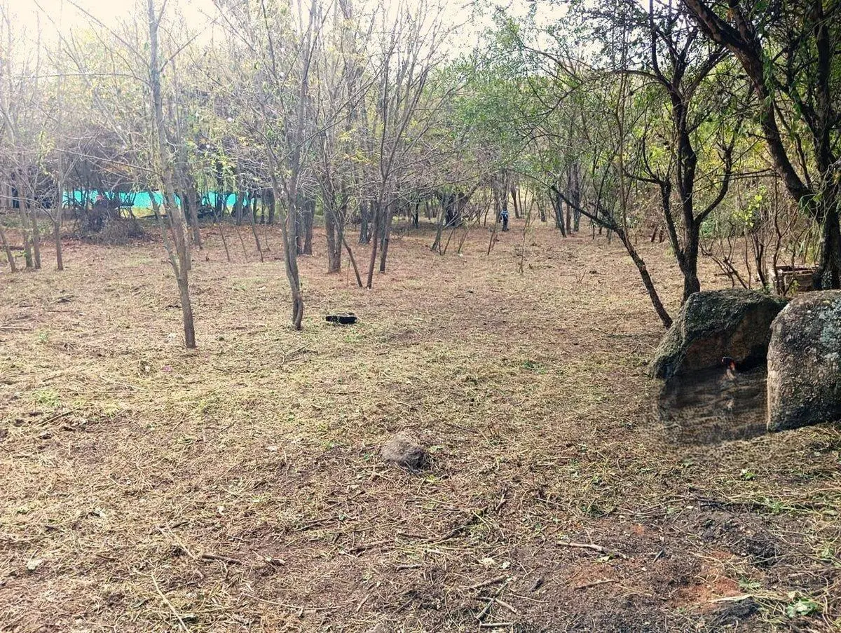 VENTA LOTE ESCRITURA BARRIO CON SEGURIDAD LAGOAZUL 5