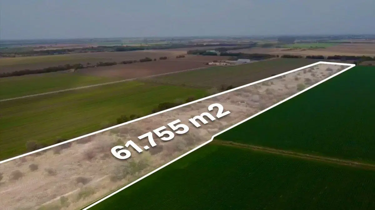 VENTA LOTE 61755 MTRS ESTACION FERREYRA  RUTA 9 3