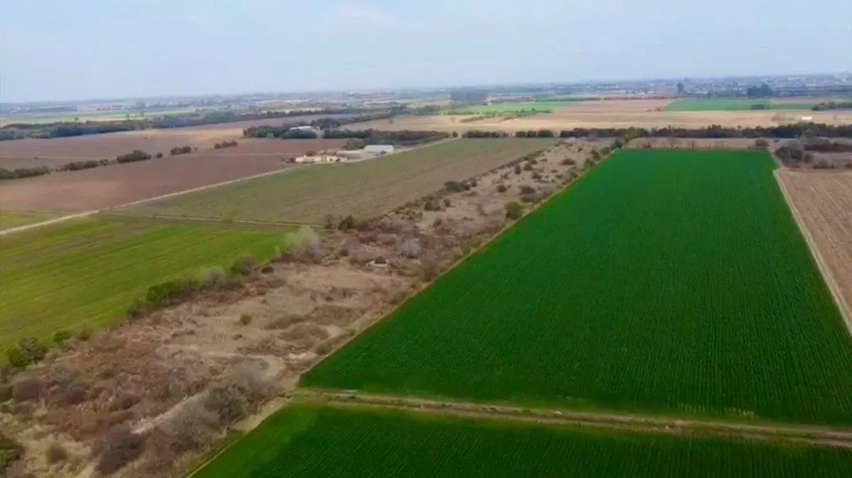 VENTA LOTE 61755 MTRS ESTACION FERREYRA  RUTA 9 5