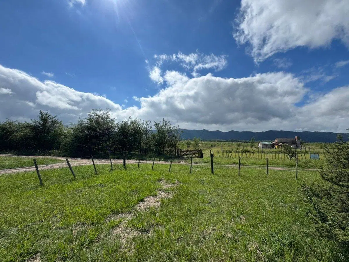 VENTA LOTE 561 M2 EN LOS REARTES. CALAMUCHITA 4
