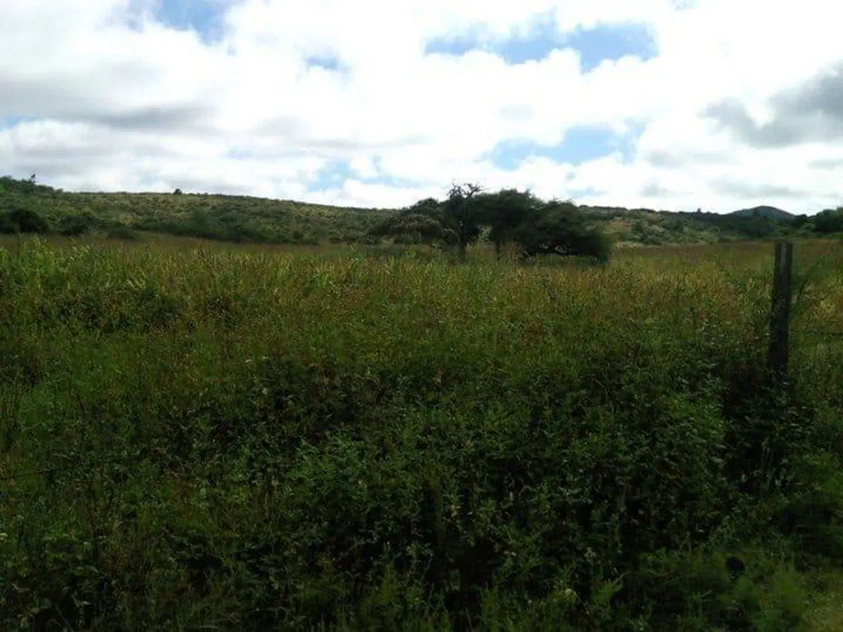 LOTE 1021 M2 EN VENTA PUEBLO NATIVO VILLA GIARDINO 2