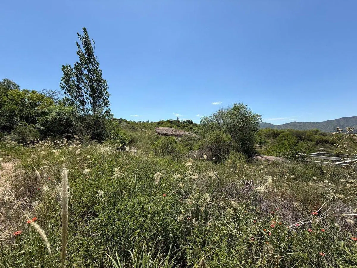 VENTA LOTE 2723M2 MIRADOR DEL LAGO - BIALET MASSE 4