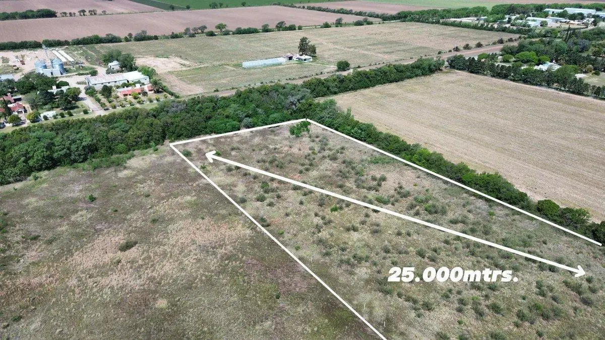 VENTA LOTE 25.000 MTRS. CAMINO SAN CARLOS KM 12,5 2