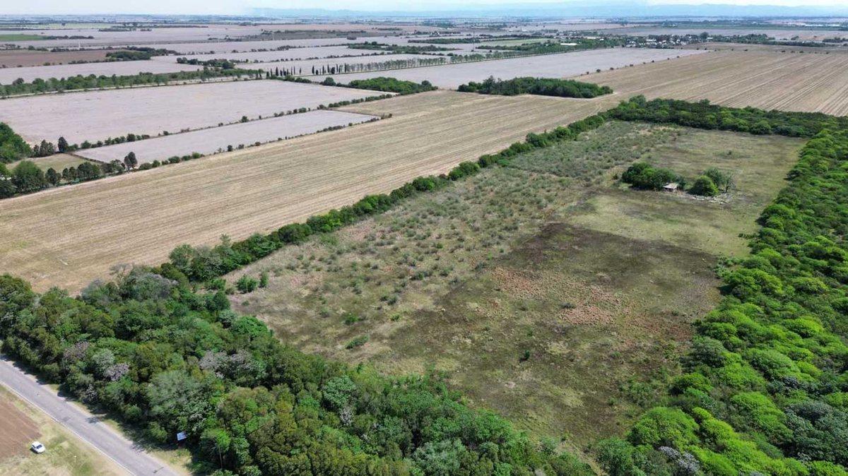 VENTA LOTE 25.000 MTRS. CAMINO SAN CARLOS KM 12,5