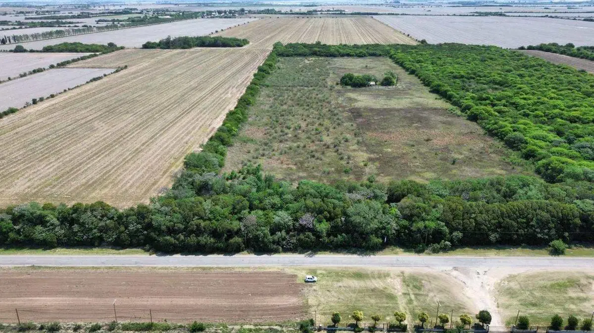 VENTA LOTE 25.000 MTRS. CAMINO SAN CARLOS KM 12,5 3