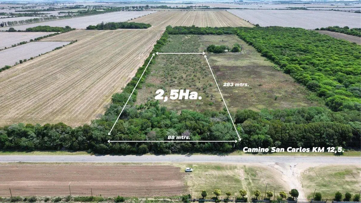 VENTA LOTE 25.000 MTRS. CAMINO SAN CARLOS KM 12,5 5