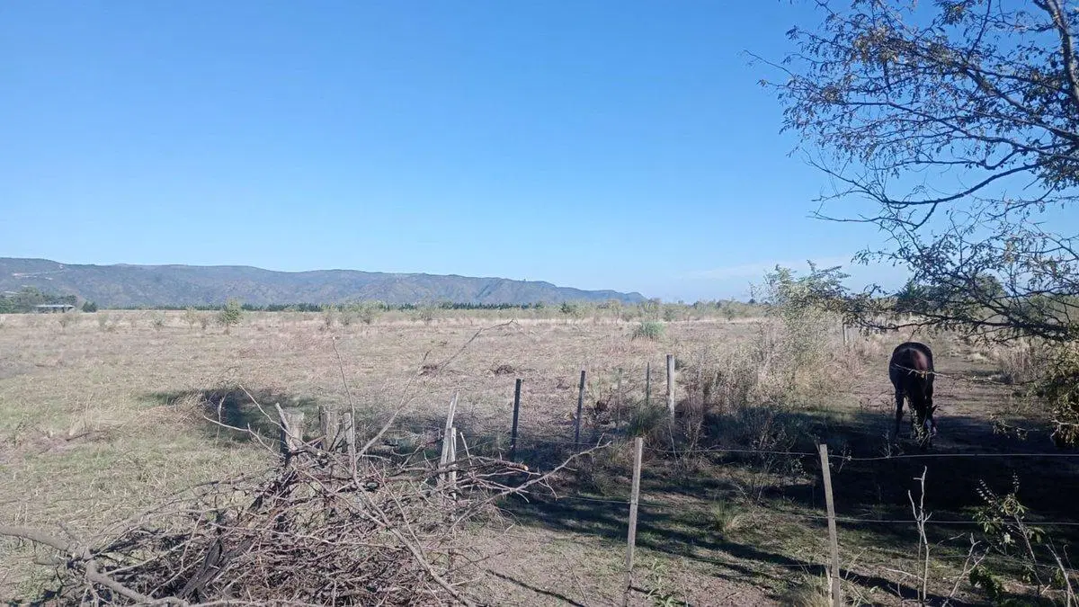 5 HAS. EN LOS REARTES CON VISTAS A LAS MONTAÑAS 3