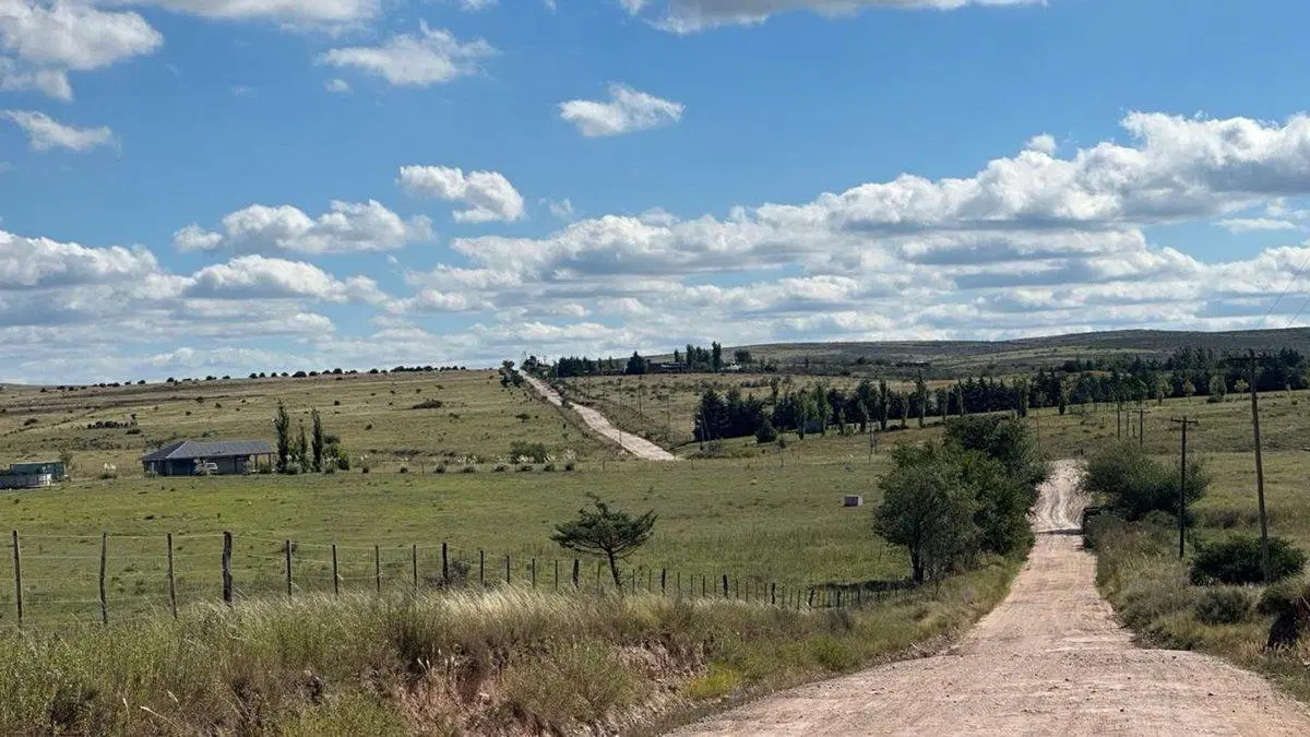 HECTAREAS EN LA CUMBRE CAMINO A CUCHI CORRAL 5