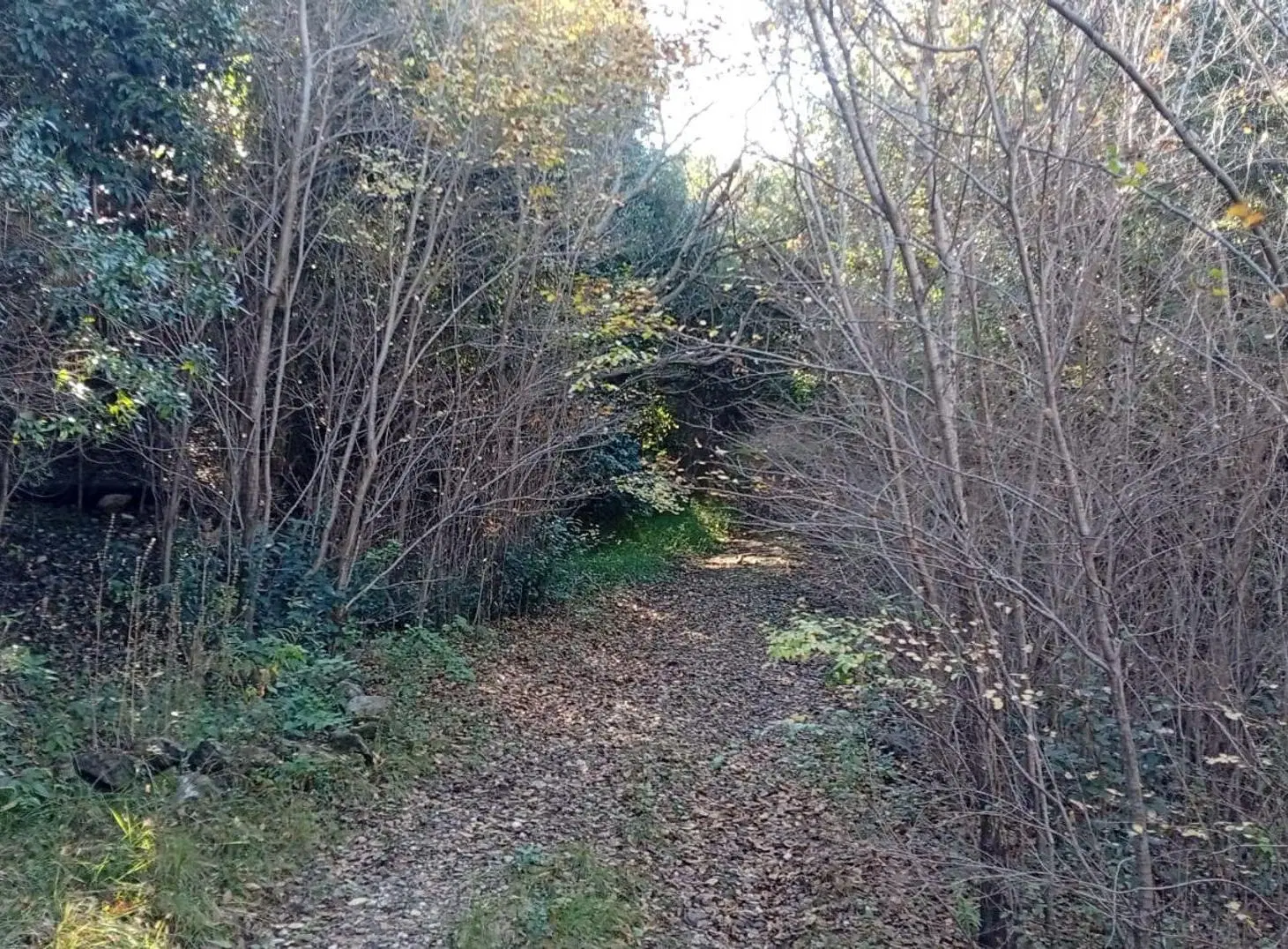 VENTA GRAN LOTE DE 1835M2 EN LA SERRANITA 3