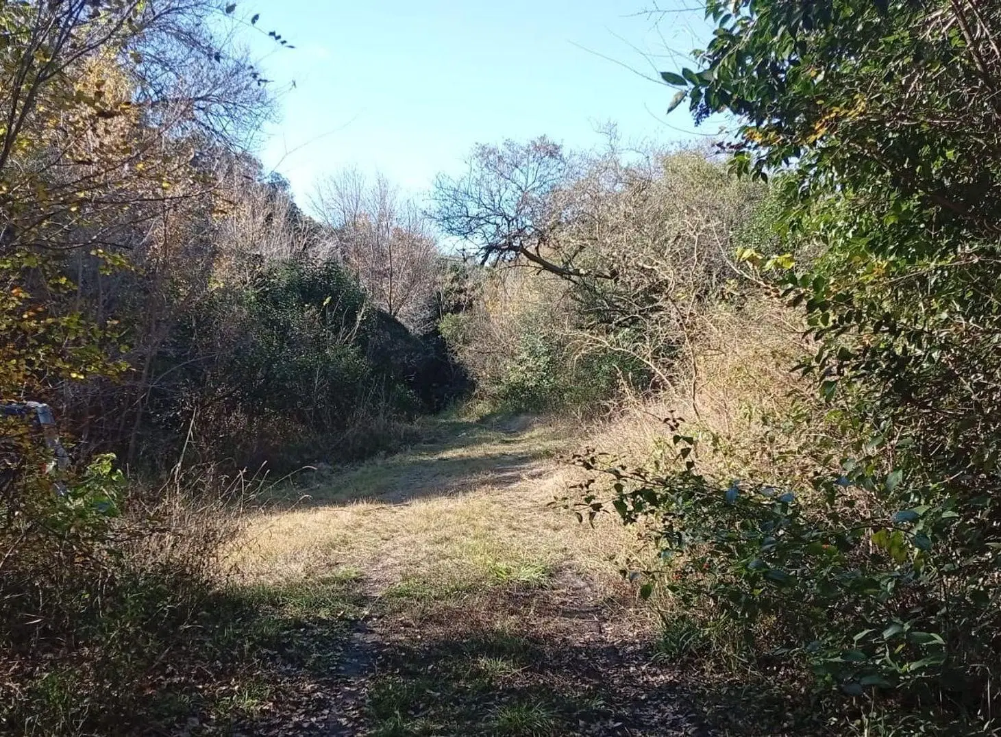 VENTA GRAN LOTE DE 1835M2 EN LA SERRANITA 2
