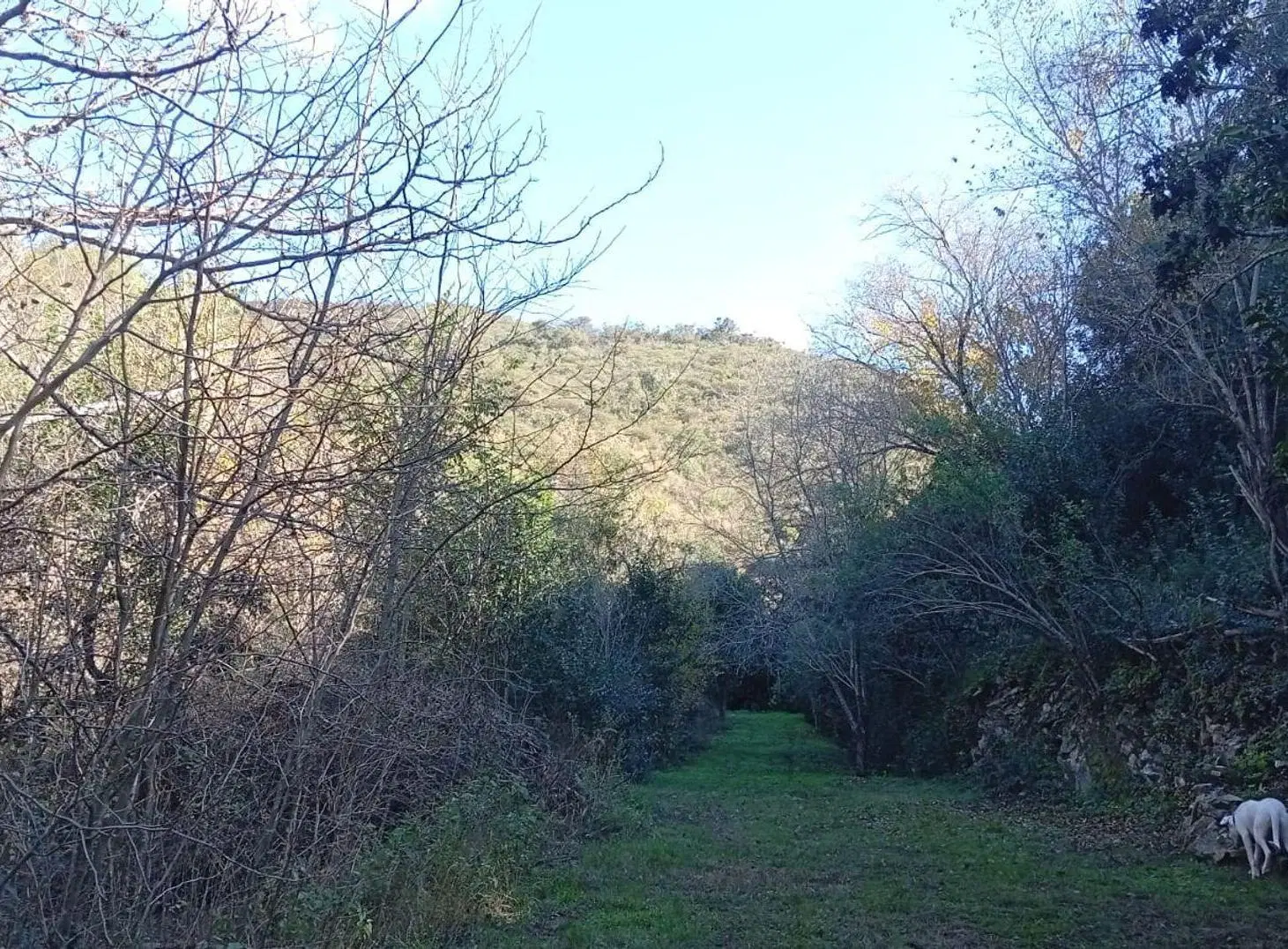 VENTA GRAN LOTE DE 1835M2 EN LA SERRANITA 4