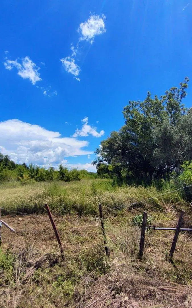 Venta terreno 3 Hectáreas ex camino a Monte Cristo 2