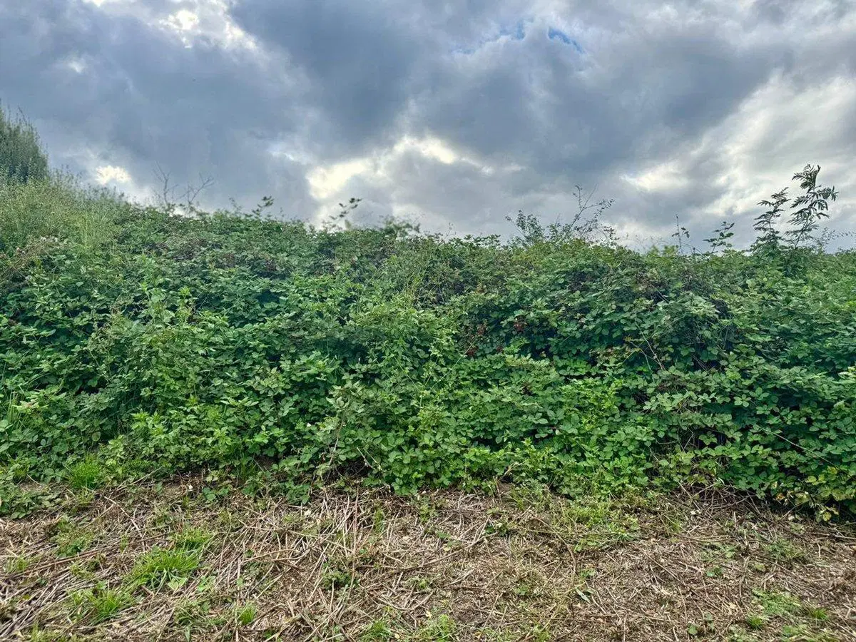 VENTA 2 LOTES 1200M2 EN YACANTO DE CALAMUCHITA 5