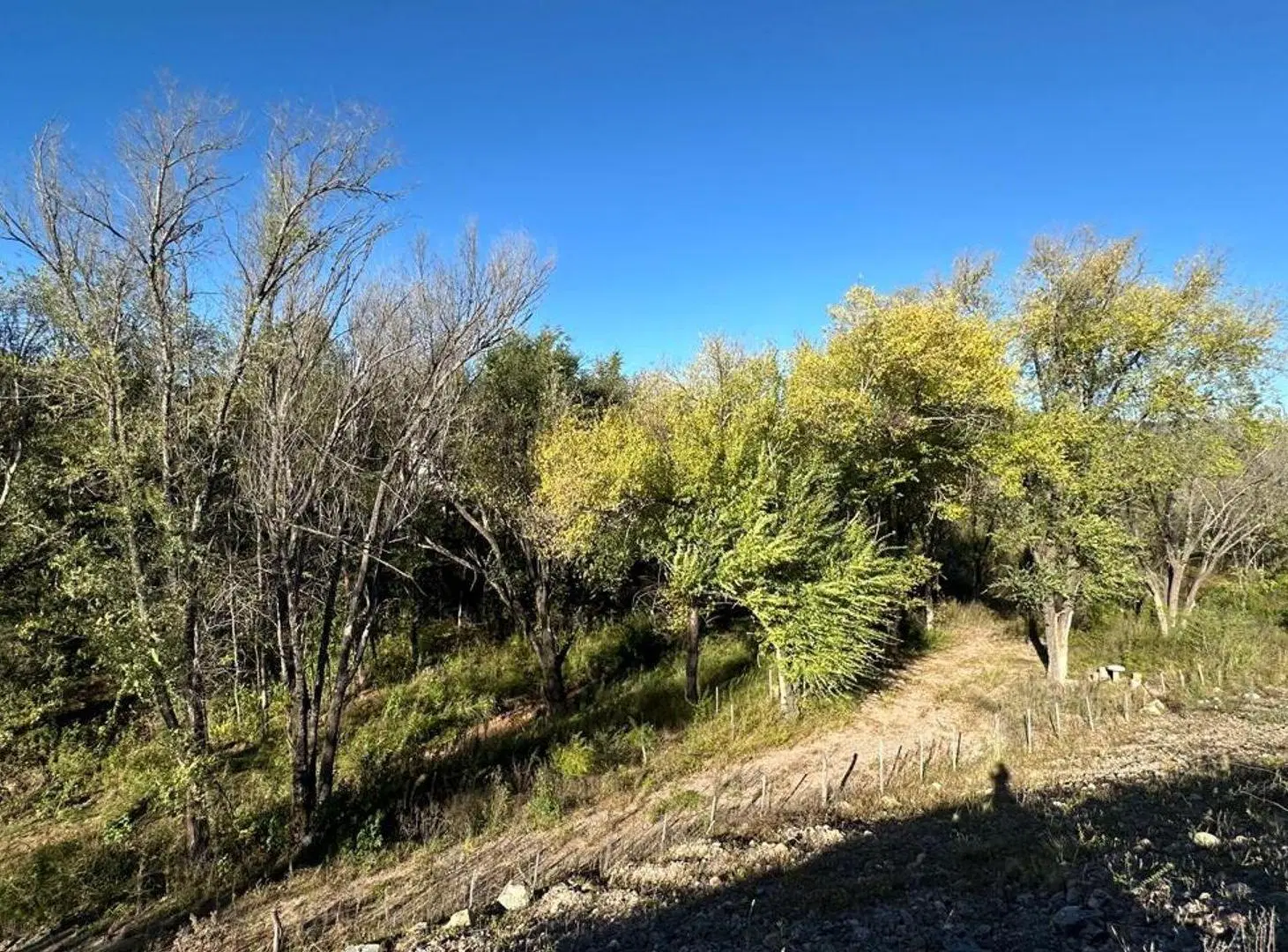 EN VENTA LOTE 1252 MT EN MIRADOR DEL LAGO 4