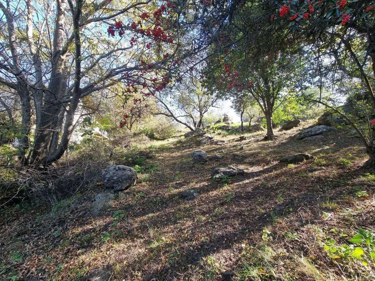 VENTA LOTE CUESTA BLANCA 1538 M2 VILLA CARLOS PAZ 4
