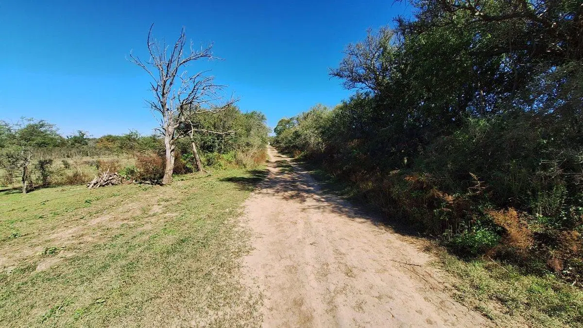 LOS MOLINOS - VENTA HERMOSO LOTE CON VISTA 5