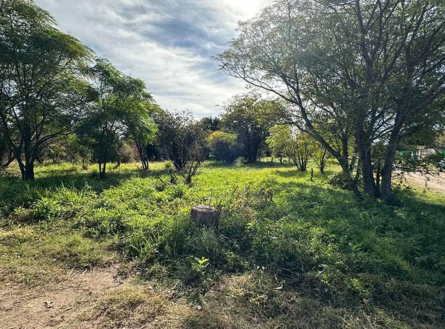 VENTA TERRENO ESQUINA 1004 M2 COL. VICENTE AGUERO 5