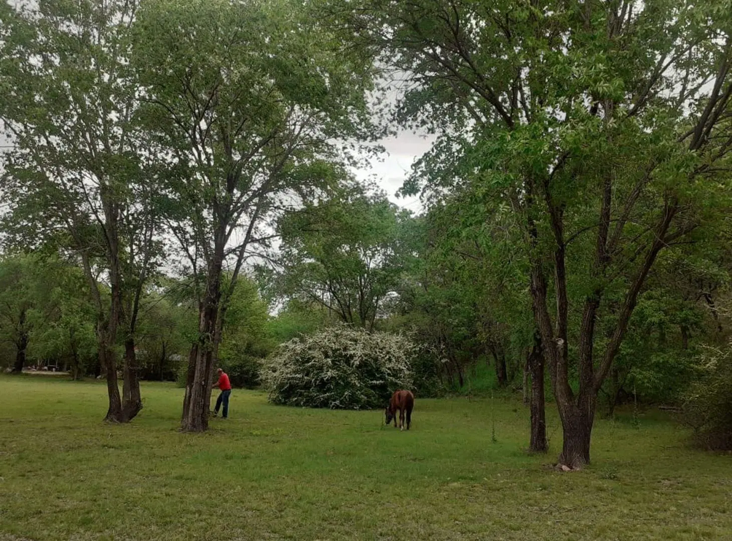 VENTA TERRENO 2100 METROS EN VILLA GRAL BELGRANO 3