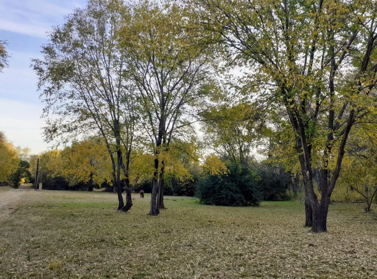 VENDE TERRENO 1900 METROS EN VILLA GRAL BELGRANO 2