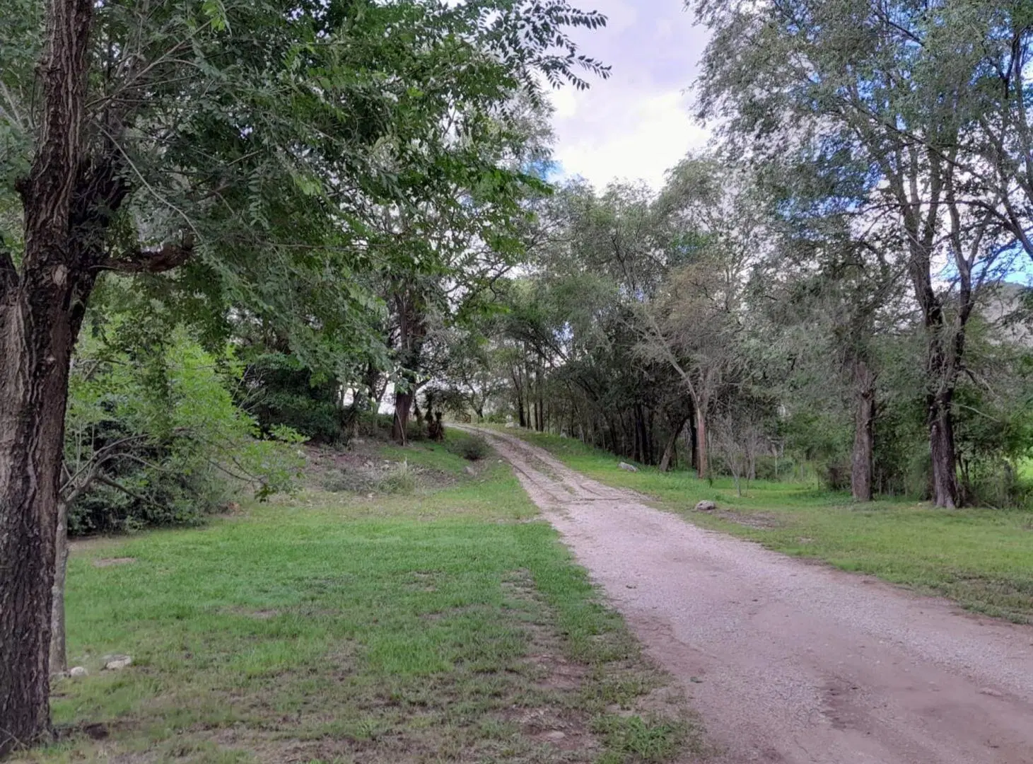 VENDE TERRENO 1900 METROS EN VILLA GRAL BELGRANO 5