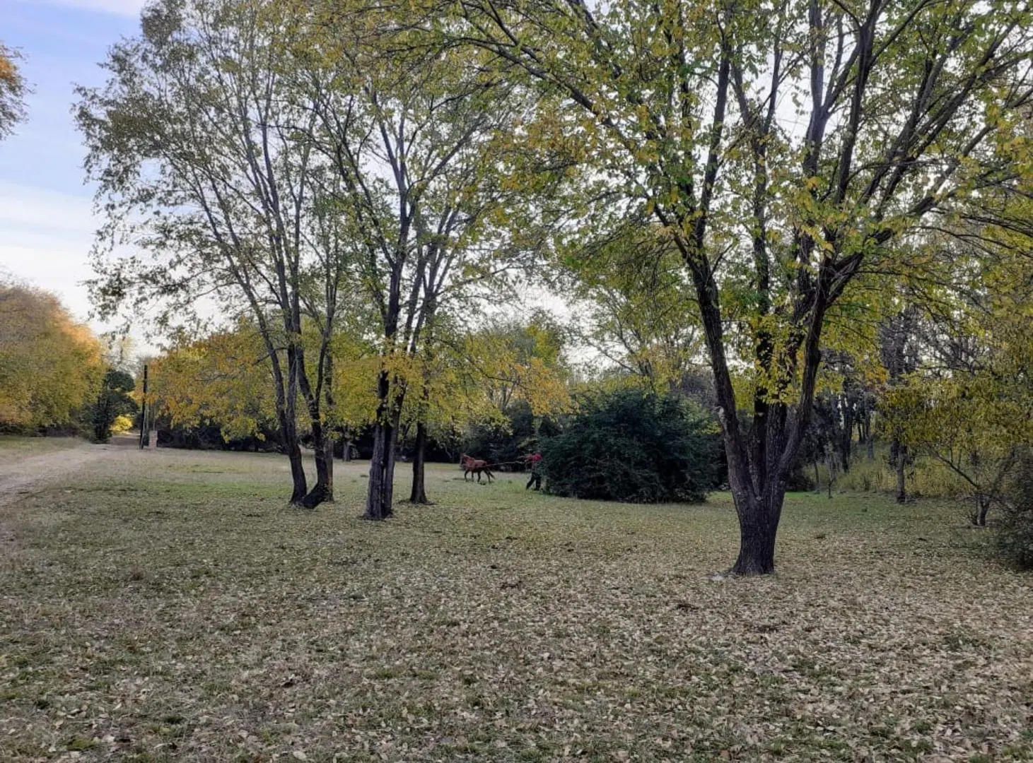 VENDE TERRENO 1900 METROS EN VILLA GRAL BELGRANO 4