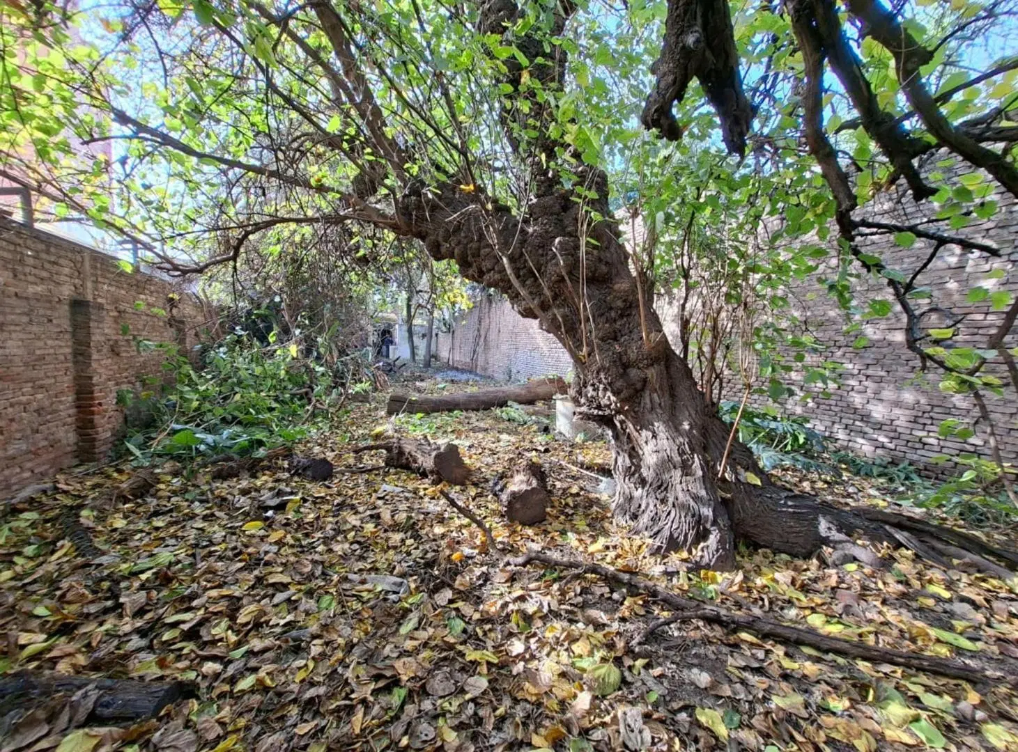 VENTA TERRENO 440M2  APTO DESARROLLO ALTA CORDOBA 3