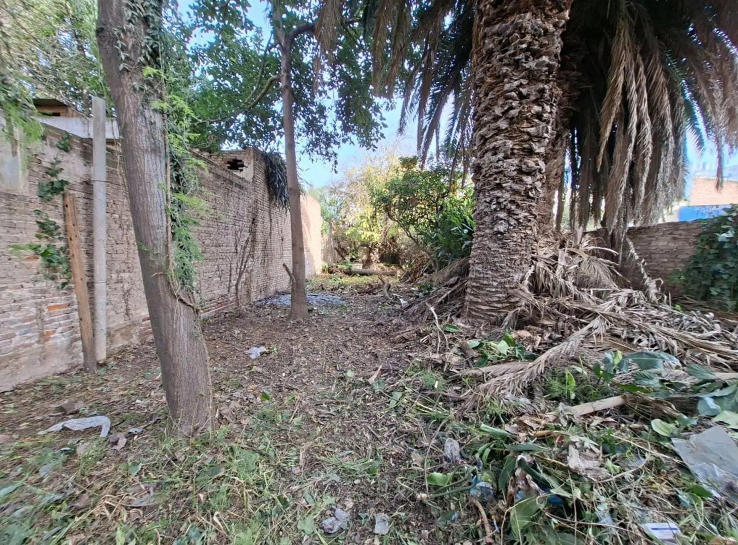 VENTA TERRENO 440M2  APTO DESARROLLO ALTA CORDOBA 2