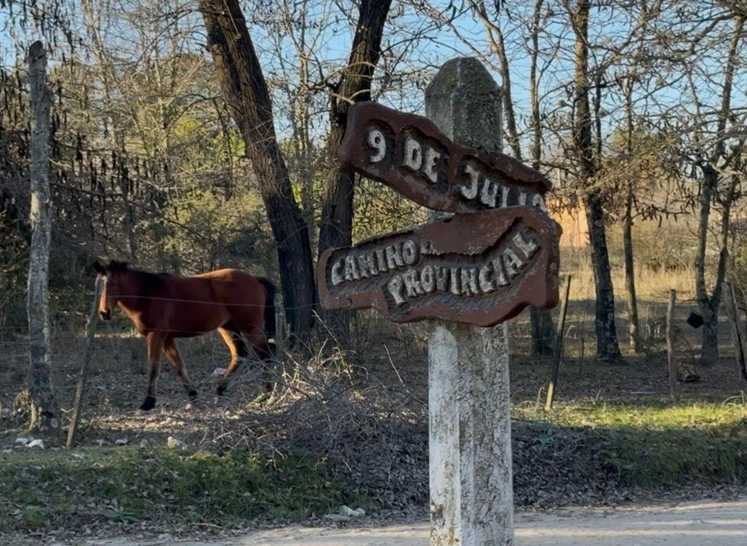 VENTA COMPLEJO DE CABAÑAS LOS REARTES 3