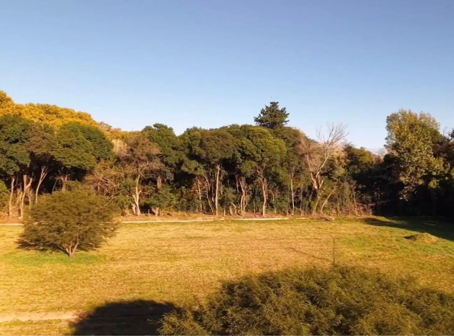 VENTA LOTE 1.025M2 VILLA DEL TOTORAL 3