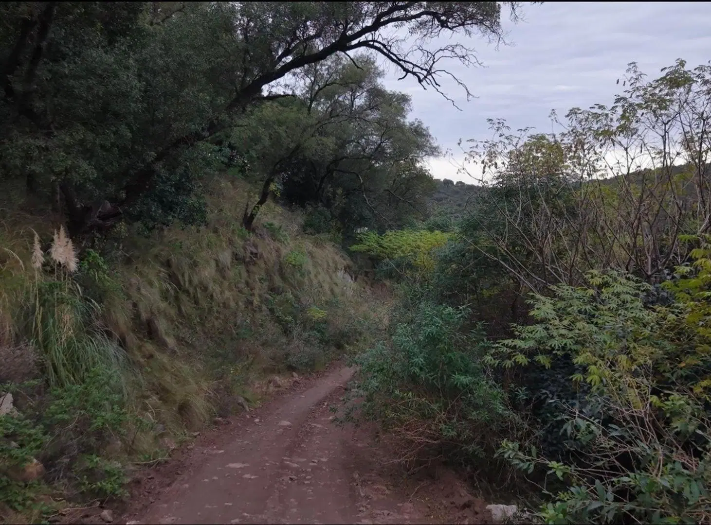VENTA LOTE 536M2 RIO CEBALLOS 3