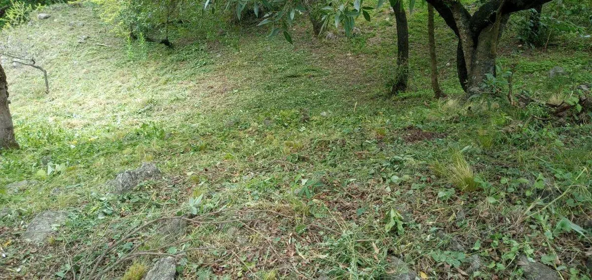 SE VENDE LOTE EN TIERRALTA MACRO LOTE 5 2